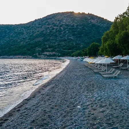 Habitación en casa particular Ada