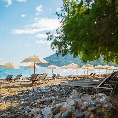 Ada Δωμάτια σε οικογενειακή κατοικία *